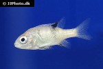 katria katria katria katria