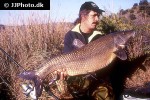 luciobarbus comizo luciobarbus comizo
