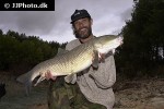 luciobarbus guiraonis luciobarbus guiraonis