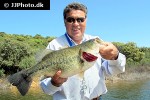 micropterus salmoides micropterus salmoides