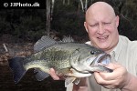 micropterus salmoides micropterus salmoides