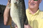 micropterus salmoides micropterus salmoides