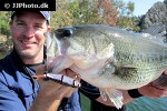 micropterus salmoides micropterus salmoides