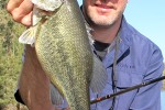micropterus salmoides micropterus salmoides