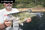 micropterus salmoides micropterus salmoides