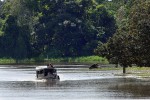 06 amazonas