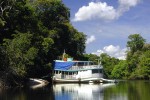 12 amazonas   camaiu