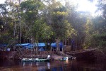 14 amazonas   camaiu