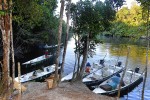 15 amazonas   camaiu