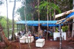 16 amazonas   camaiu