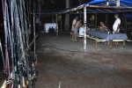 18 amazonas   camaiu