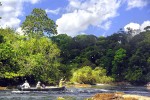 20 amazonas   camaiu