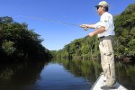 27 amazonas   camaiu