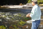 40 amazonas   camaiu