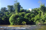 53 amazonas   camaiu