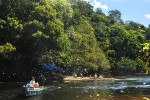 65 amazonas   camaiu