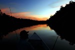 73 amazonas   camaiu