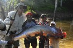 91 amazonas   macambira