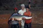 97 amazonas   macambira