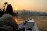 15 amazonas   acari