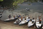 29 amazonas   acari