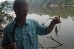 34 amazonas   acari