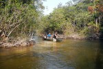 68 amazonas   acari