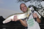 80 amazonas   acari