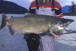 45b british columbia fraser river 45b british columbia fraser river