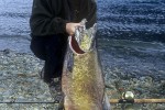 46 british columbia fraser river 46 british columbia fraser river