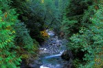 48 british columbia shihelas river 48 british columbia shihelas river