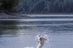 15 british columbia fraser river 15 british columbia fraser river