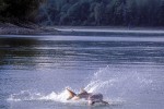 16 british columbia fraser river 16 british columbia fraser river