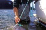 17 british columbia fraser river 17 british columbia fraser river