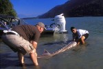 25 british columbia fraser river 25 british columbia fraser river