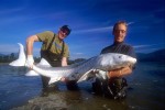 26 british columbia fraser river 26 british columbia fraser river