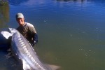 28 british columbia fraser river 28 british columbia fraser river