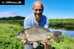 cyprinus carpio common cyprinus carpio common