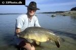 cyprinus carpio leather cyprinus carpio leather