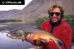 salvelinus alpinus alpinus salvelinus alpinus alpinus