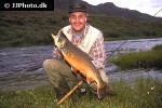 salvelinus alpinus alpinus salvelinus alpinus alpinus