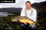 salvelinus alpinus alpinus salvelinus alpinus alpinus