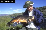 salvelinus alpinus alpinus salvelinus alpinus alpinus