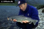 salvelinus alpinus alpinus salvelinus alpinus alpinus