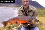 salvelinus alpinus alpinus salvelinus alpinus alpinus