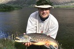 salvelinus alpinus alpinus salvelinus alpinus alpinus