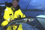 salvelinus namaycush salvelinus namaycush