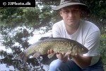 squalius cephalus squalius cephalus