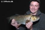 squalius cephalus squalius cephalus