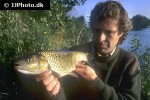 squalius cephalus squalius cephalus